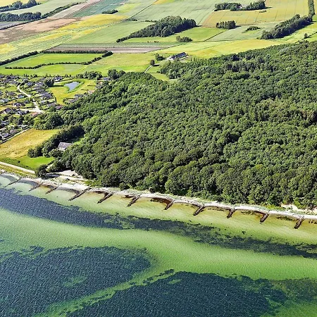 Skovlobervej Rude